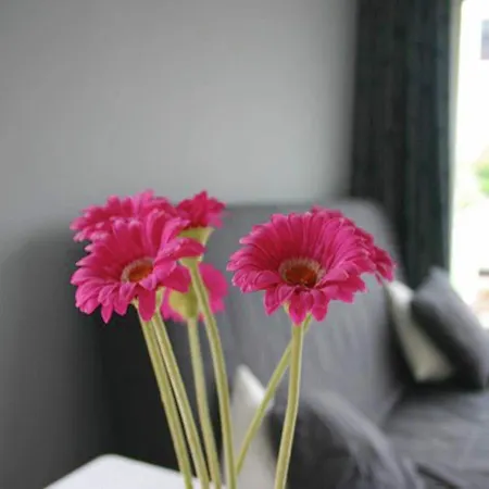 Cosy Vacation Near The Egmond aan Zee