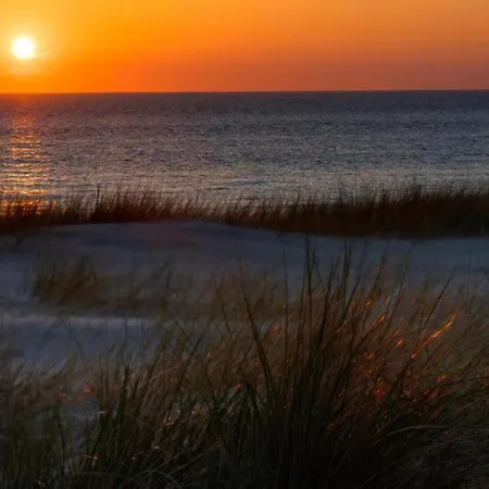 Holiday home Cosy Vacation Near The Egmond aan Zee