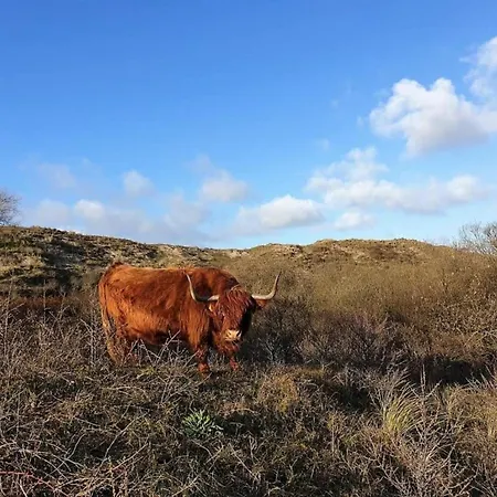 Дом отдыха Egmond Near