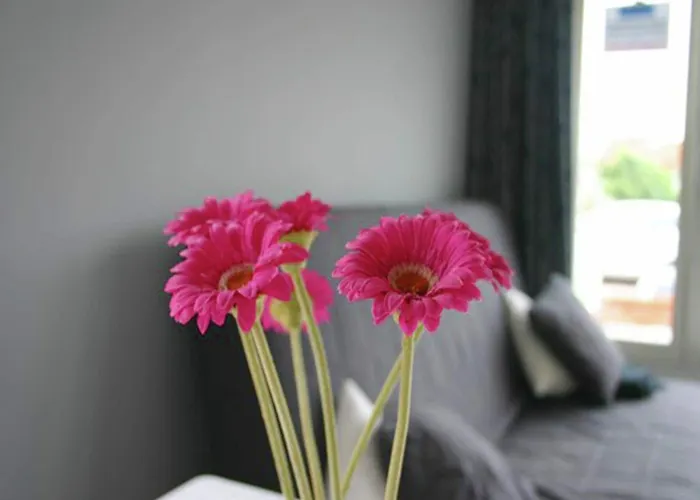 Egmond Near Egmond aan Zee