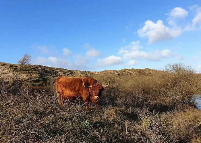 Hébergement de vacances Egmond Near