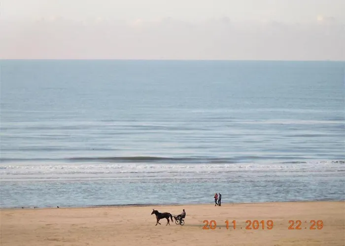 Egmond Near Hébergement de vacances *