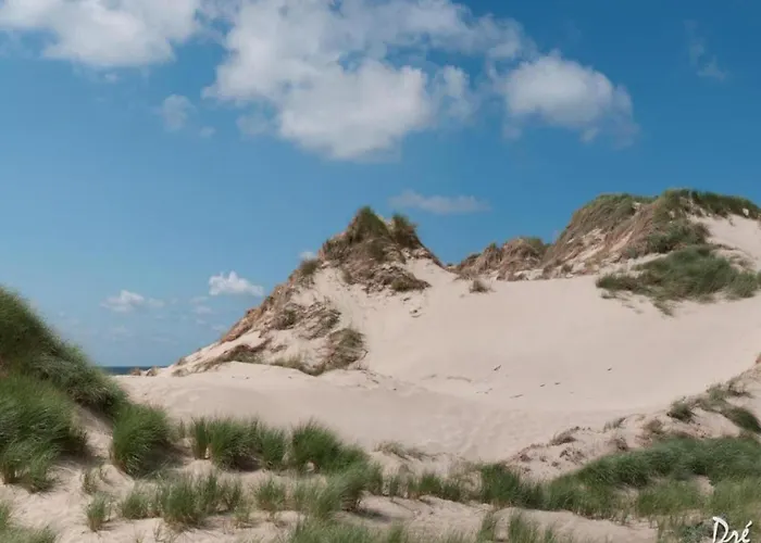 Hébergement de vacances Egmond Near Egmond aan Zee