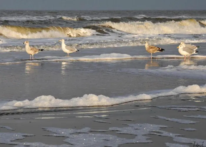 Egmond Near Hébergement de vacances *