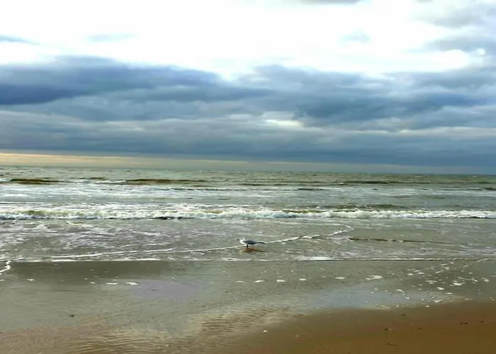 Egmond Near * Egmond aan Zee