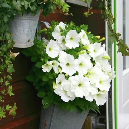 Egmond Near Casa vacanze Egmond aan Zee