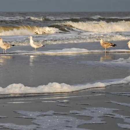 Egmond Near Casa vacanze *